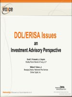DOL-ERISA Issues from an Investment Advisory Perspective