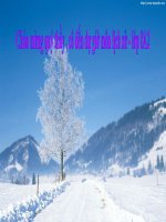 Bài 16  liên xô xây dựng chủ nghĩa xã hội (1921   1941) 