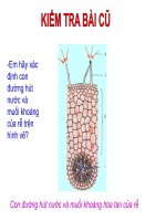 Bai 12  biến dạng của rễ sinh6 