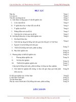 bao cao hoan chinh thi khkt