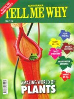 Tạp chí Amazing World of Plants _Tell Me Why