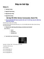 Bài tập MS DOS, norton commander, batch file 