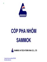 Thiết kế cốp pha nhôm