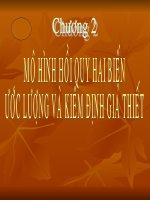 Slide bài giảng kinh tế lượng cô lê thị hồng hoa chương 2 