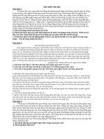 ĐỀ ĐỌC HIỂU VĂN BẢN VĂN XUÔI