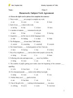 Bài tập trắc nghiệm sự hòa hợp giữa chủ ngữ và động từ