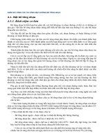 GIÁM SÁT CÔNG TÁC THI CÔNG MẶT ĐƯỜNG BÊ TÔNG NHỰA