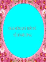 Bài giảng sinh học 8 thao giảng trao đổi chất (12) 