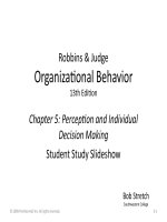 Slide OB 13e chapter 05 perception and individual decision making 