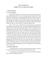 Sử dụng một số phương pháp dạy học tích cực trong dạy học Địa lí địa phương lớp 12_ban cơ bản