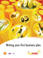 Writing your first business plan