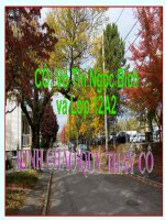 Bài  giảng vật lí 12 thao giảng các mạch điện xoay chiều (12) 