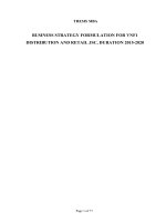 Luận văn BUSINESS STRATEGY FORMULATION FOR VNF1 DISTRIBUTION AND RETAIL JSC
