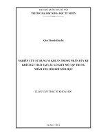 Nghiên cứu sử dụng vi khuẩn trong phân hủy kỵ khí chất thải tại các lò giết mổ tập trung nhằm thu hồi khí sinh học 