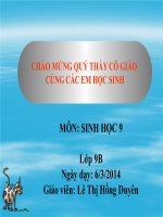 Bài 49  quần xã sinh vật 