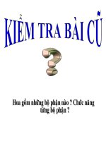 Bài 29  các loại hoa 