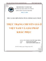 Tiểu luận Thực trạng chuyển giá ở Việt Nam và giải pháp khắc phục