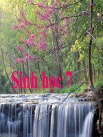 Bài 34  đa dạng và đặc điểm chung của các lớp cá 