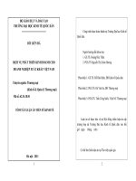 Dịch vụ phát triển kinh doanh cho doanh nghiệp xuất khẩu Việt Nam (tt)