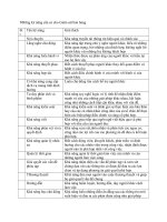 NHững kỹ năng cần có cho Giám sát bán hàng