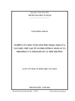 Nghiên cứu khả năng hấp phụ Mn(II), Ni(II) của vật liệu chế tạo từ sắt(III) nitrat, silicat và phophat và thăm dò xử lý môi trường 