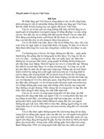 Bài văn Thuyết minh về cây tre việt nam cấu trúc đầy đủ