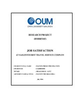 Job satisfaction at saigontourist travel service company  