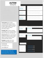 Mẫu CV chuẩn khi xin việc