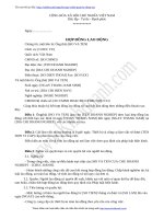 Mau hop dong lao dong(2)