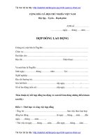 mau hop dong lao dong