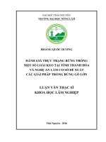 Đánh giá thực trạng rừng trồng một số loài keo tại tỉnh thanh hóa và nghệ an làm cơ sở đề xuất các giải pháp trồng rừng gỗ lớn