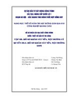 Hồ sơ khảo sát ĐCCT đo mô đuyn đàn hồi (E) bằng cần đo võng Benkelman  Dự án đường gom KCN Quang Châu  Bắc Giang