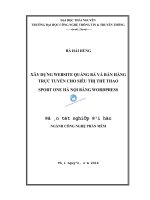 Xây dựng website quảng bá và bán hàng trực tuyến cho siêu thị thể thao sport one hà nội bằng wordpress