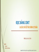 đọc bảng cân đối kế toán và các chỉ số tài chính cơ bản