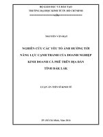 Nghiên cứu các yếu tố ảnh hưởng tới năng lực cạnh tranh của doanh nghiệp kinh doanh cà phê trên địa bàn tỉnh Đắk Lắk