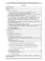 Báo cáo ĐTM dự án “Nhà ở thấp tầng và khu nhà ở tái định cư kết hợp thương mại”