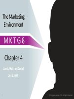 Principles of marketing MKTG 8e joe hair carl mcdaniel  chapter 04 