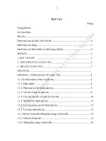 Nghiên cứu kỹ thuật bảo vệ bản quyền các sản phẩm đồ họa véc tơ 