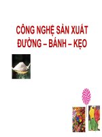 GIAO TRINH   DE CUONG 2013 CNSX DUONG MIA 