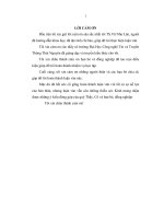 Dự báo chuỗi thời gian mờ dựa trên đại số gia tử với khoảng giải nghĩa tối ưu 