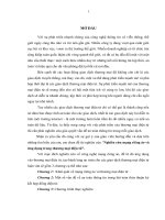 Nghiên cứu mạng riêng ảo và ứng dụng trong thương mại điện tử 