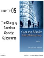 Consumer behavior and marketing strategy 12e hawkins motherbaugh chapter 05