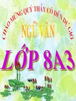 Trợ từ thán từ NGỮ VĂN 8