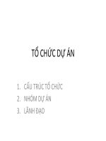 GIAO TRINH   TOCHUC1 TOCHUC DUAN m7 