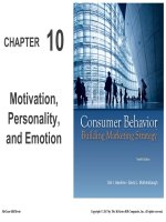 Consumer behavior and marketing strategy 12e hawkins motherbaugh chapter 10 