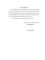 Nghiên cứu ứng dụng công nghệ mạng nơ ron tế bào vào giải phương trình truyền nhiệt ba chiều 