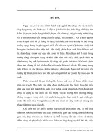 Phương pháp phân đoạn ảnh dựa trên mô hình tách, ghép vùng 