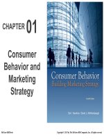 Consumer behavior and marketing strategy 12e hawkins motherbaugh chapter 01