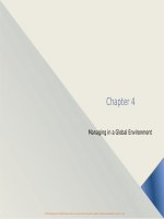 Management 12e richard draft chapter 04 