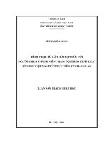 Hình phạt tù có thời hạn đối với người chưa thành niên phạm tội theo pháp luật hình sự Việt Nam từ thực tiễn tỉnh Long An